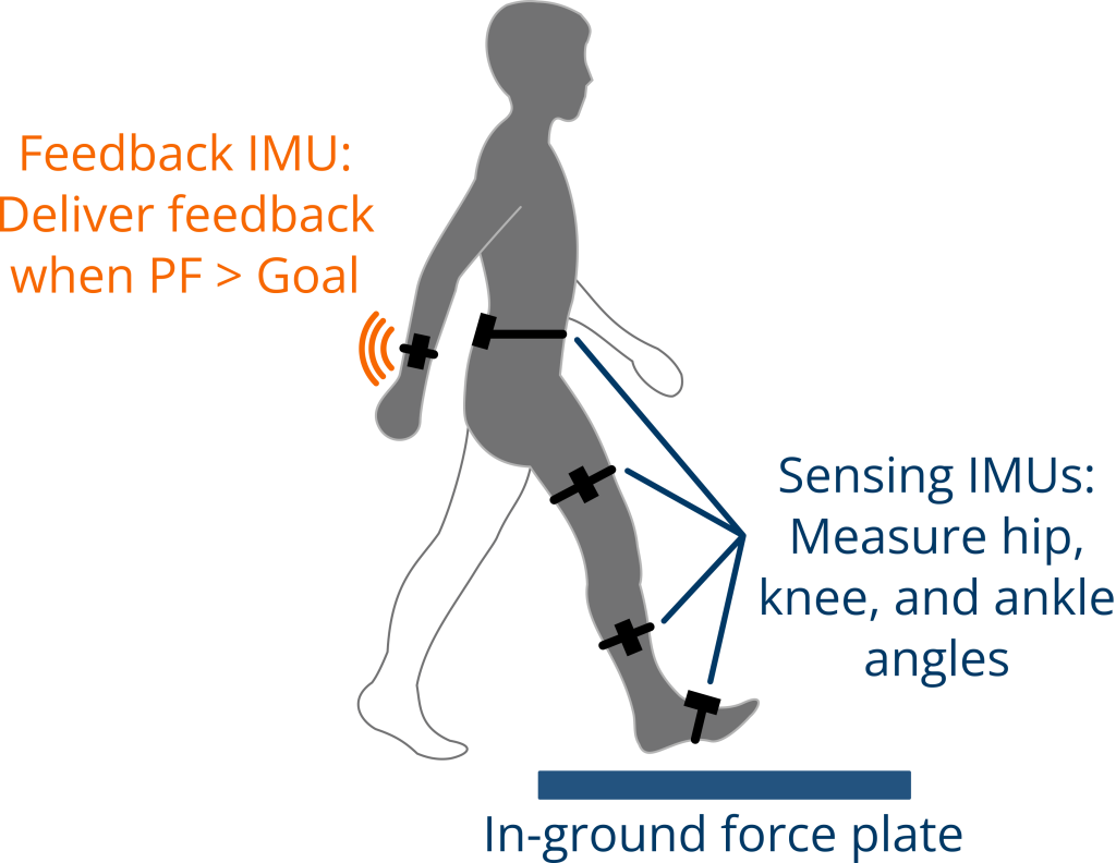 A graphic of a person walking with sensors on their arm and leg. Text in the image reads "Sensing IMUs: Measure hip, knee, and ankle angles," "Feedback IMU: Deliver feedback when PF > goal," "In-ground force plate."