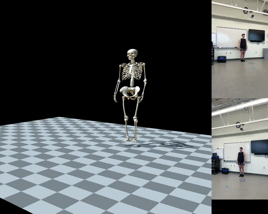 Gif of OpenCap motion capture setup. On the left, an animated skeleton takes three steps toward the viewer at a 45 degree angle. On the right, two videos show the subject walking toward the viewer from either side.